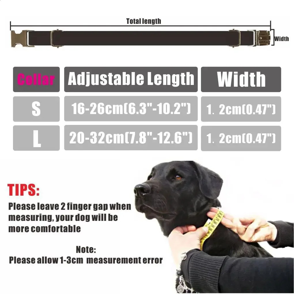 Personalized Cat Collar with Free Engraving Matching Pet LeashCustomzied Contacts Metal Buckle Dragon Paw Small Pet Collar 241227