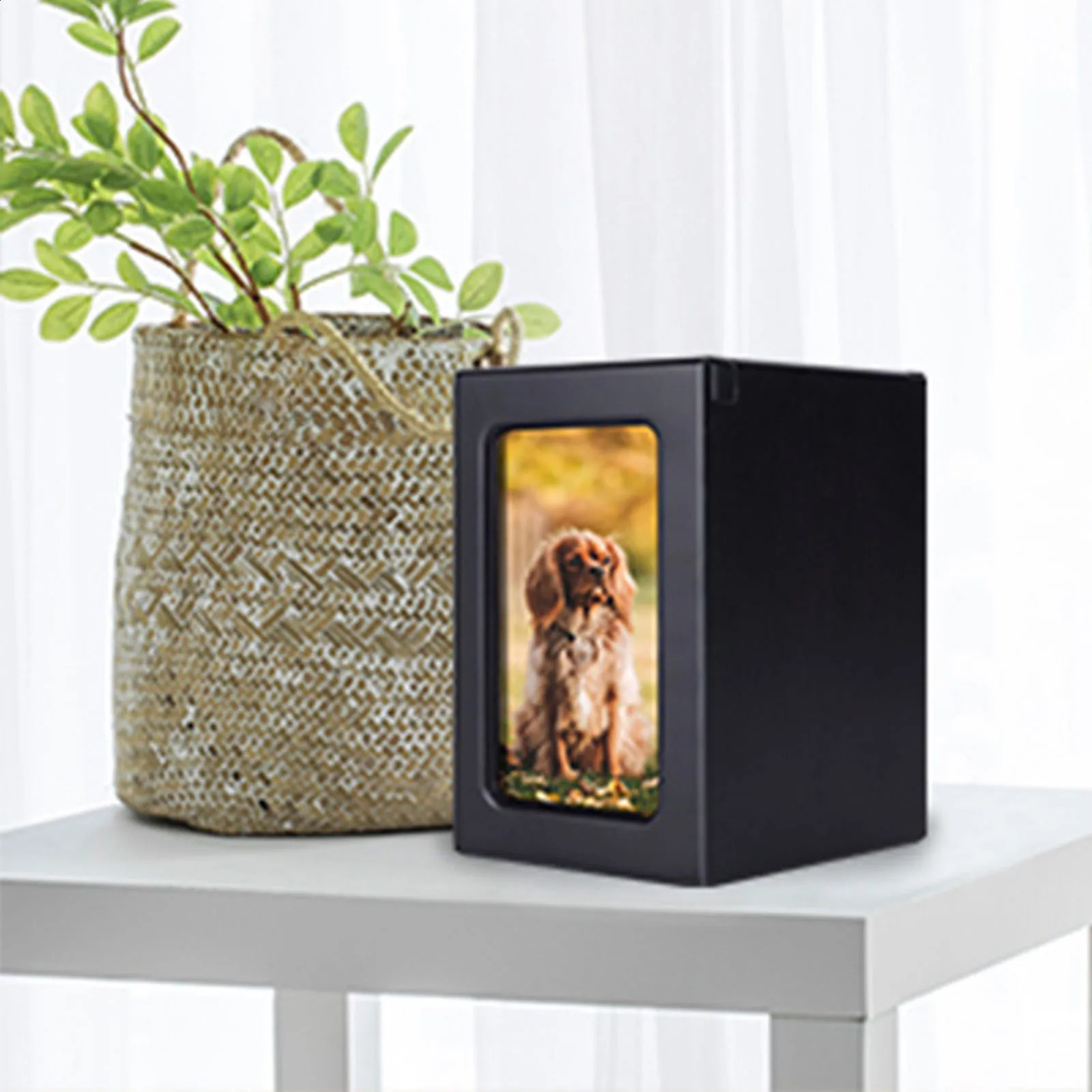 Cat Urns Pet Memorial Box Decorative Dog Souvenirs for Dogs Cats Funerary Casket Dog Keepsake Funeral Pet Cremation Urn Wood Urn 241225