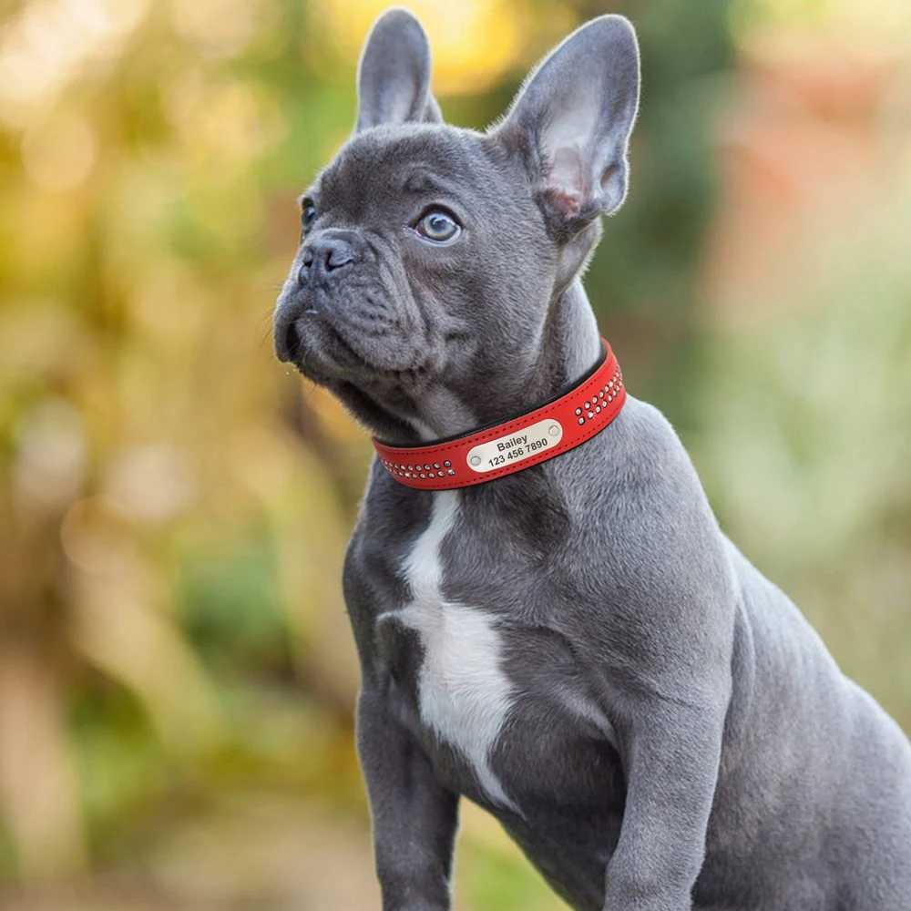 Personalized dog collar with shiny rhinestone leather pet collar for small medium and large dogs used for carving pet ID name and necklace M241228