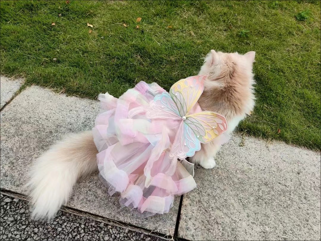 Pet Rainbow Fairy Magic Pink butterfly wings Spring Summer cat than bear Teddy VIP Golden Corgi fairy dress