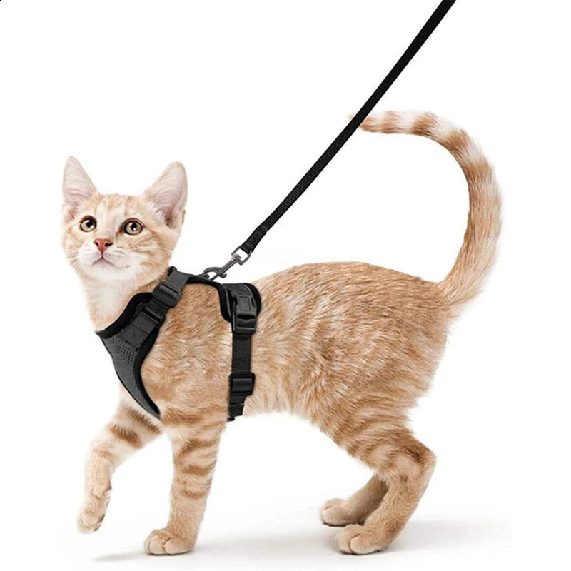 Soft Mesh Small Cat Harness and Leash Set Adjustable Vest Escape Proof for Pet Kitten Easy Control Reflective Puppy Dogs 241227