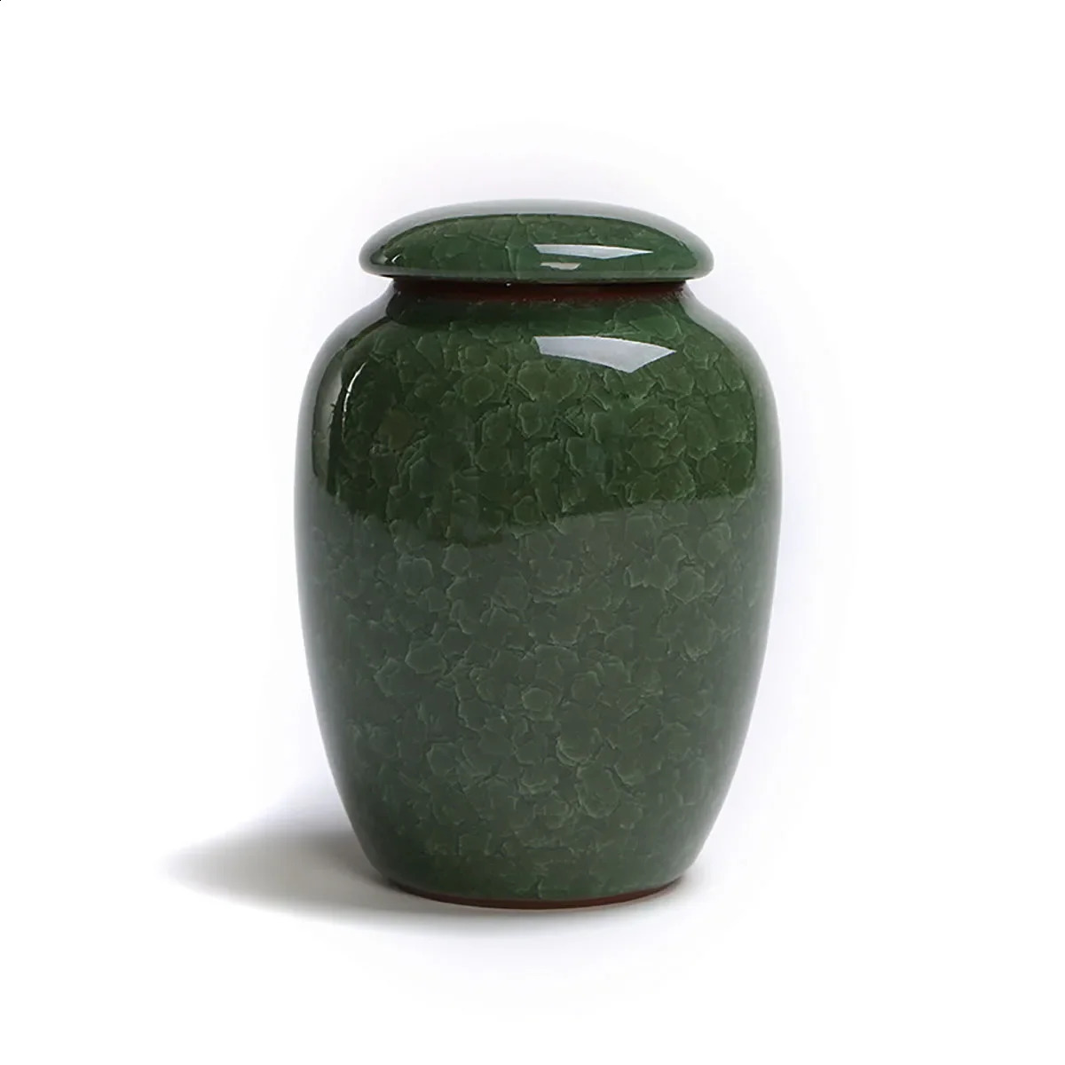 Pet Urn Bird Dog Pet Urns Cremation Pet Caskets Funeral Vase Cat Cremation Ash For Human Ashes Made Ceramics Hand Painted 241225