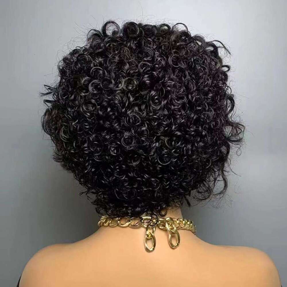 Human Hair Wig 13X4 HD Front Lace Kq2 Kq2