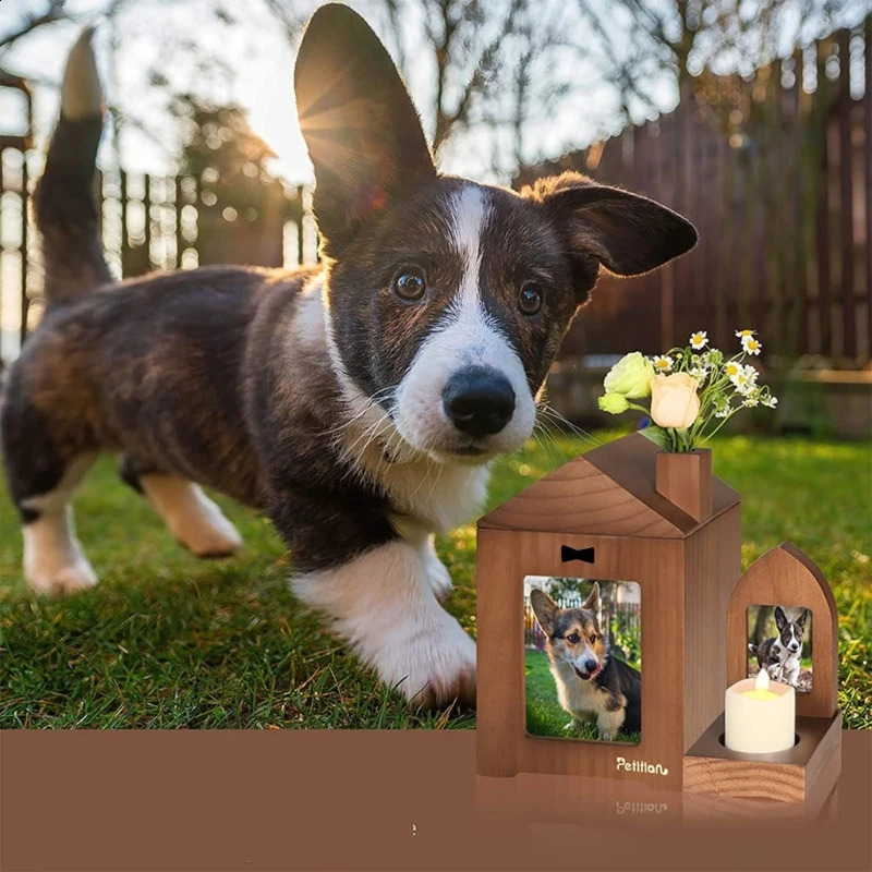 Dog Urn Cremation Holder Memorial Gifts Memorial Picture Frame Rememberable Urn for Deceased-Pet 241225