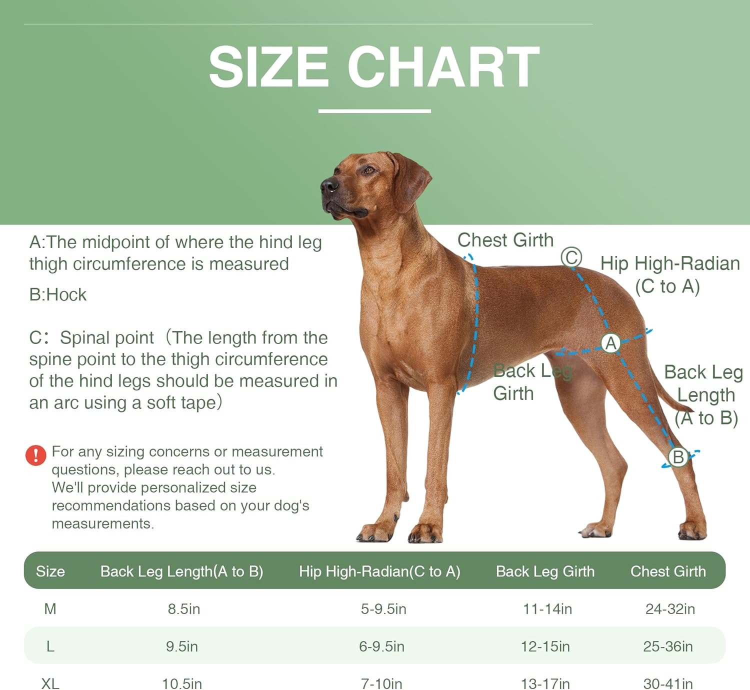 Dog knee pads are suitable for torn hind legs, patella, and cruciate ligament