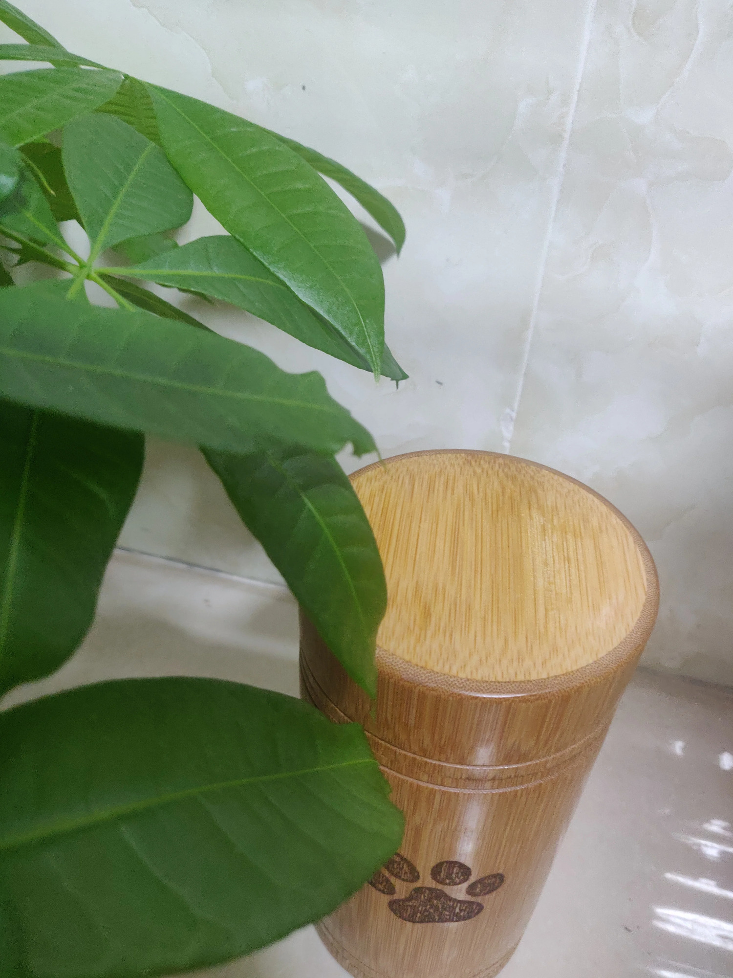 Carved Custom Bamboo Pet Urn Cremation Cute Cat Dog Paws S-L Size Puppy Kitten Ashe for Urn Funeral Supplies Pet Dog Accessories 241225