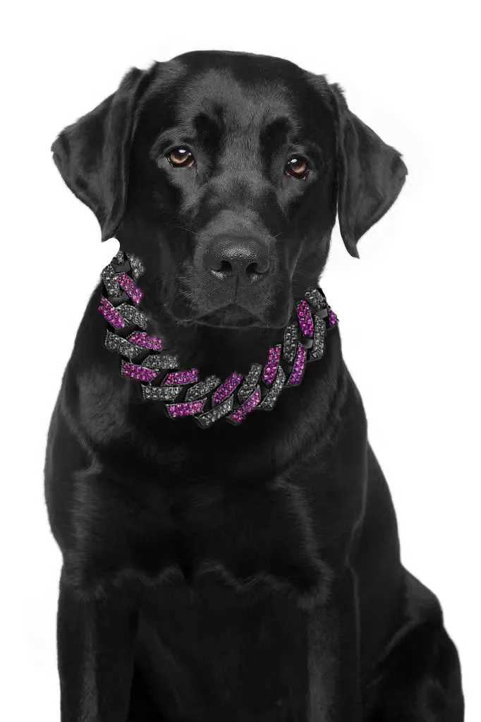 New Arrival 1415mm purple laboratory diamond dog Cuban chain necklace safety buckle pet necklace jewelry accessories suitable for small medium and lar