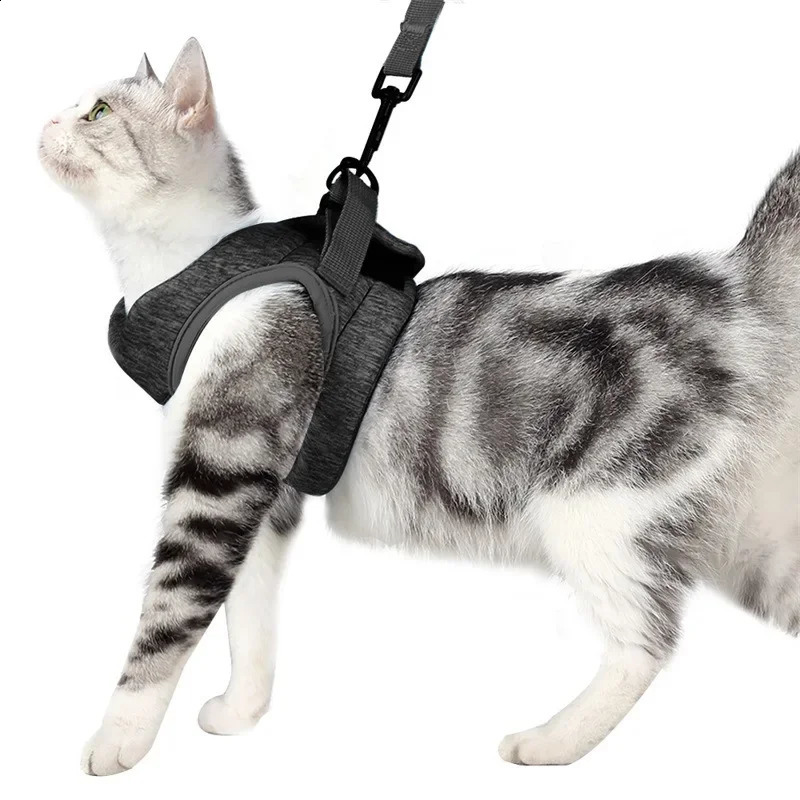 Adjustable Cat Dog Harness Leash Set Pet Anti-Escape Harnesses Soft Breathable Vest for Cat Outdoor Walking Chest Strap Supplies 241227