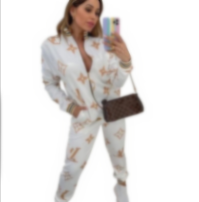 Luxury women designer Tracksuit Sporty Outfits Women Zipper Jacket and Pants Two Piece Sets Free Ship