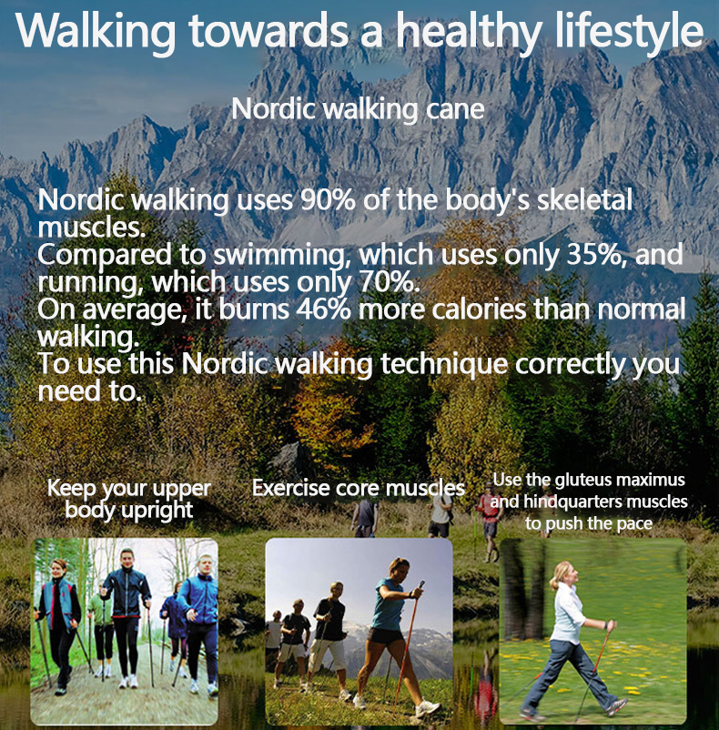 Five sections straight handle external lock outdoor hiking poles retractable walking poles 6061 aluminum alloy trekking poles factory direct sale whol
