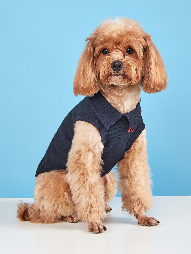 Spring/Summer Solid Color Casual Sports Vest Shirt For Small Puppies Such As Teddy, Bichon, Panda And Pomeranian