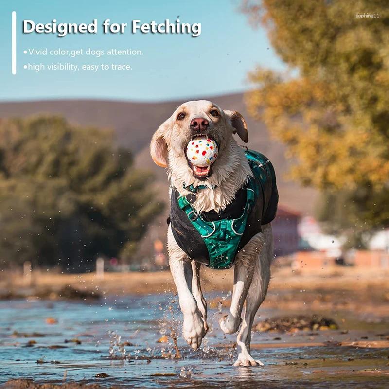 Update Bite Resistant Solid Dog Ball Toys For Small Large Dogs High Elasticity E-Tpu Pet Chew Toy Non Squeak Interactive Puppy