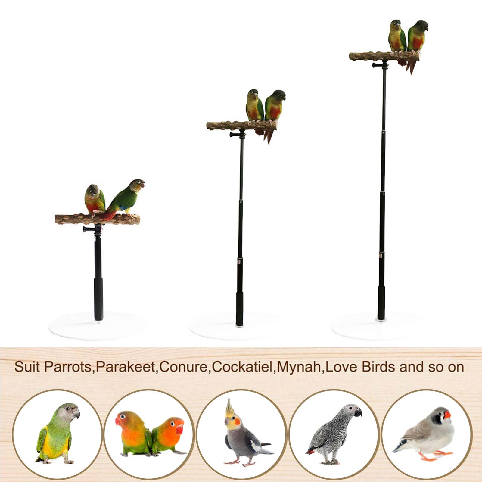 Parrot Desktop Stand Wooden Desktop Play Stand For Birds Adjustable Parrot Training Stand Toys Portable Retractable Perch