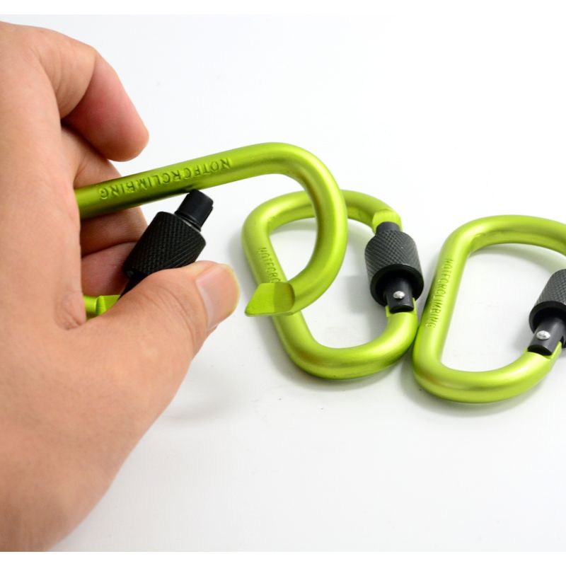 Outdoor Camping Aluminum Mini Locking Carabiner Hook 8cm Metal d type Keychain carabiner clip