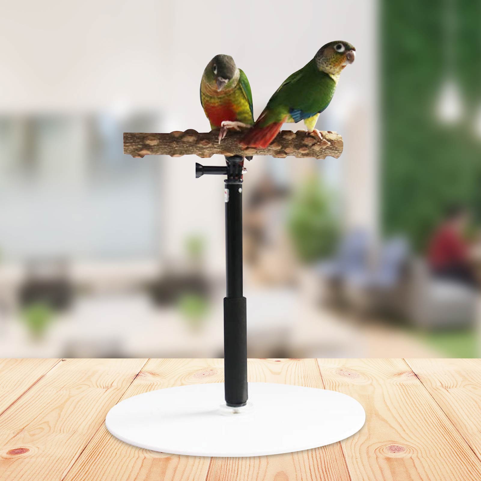 Parrot Desktop Stand Wooden Desktop Play Stand For Birds Adjustable Parrot Training Stand Toys Portable Retractable Perch