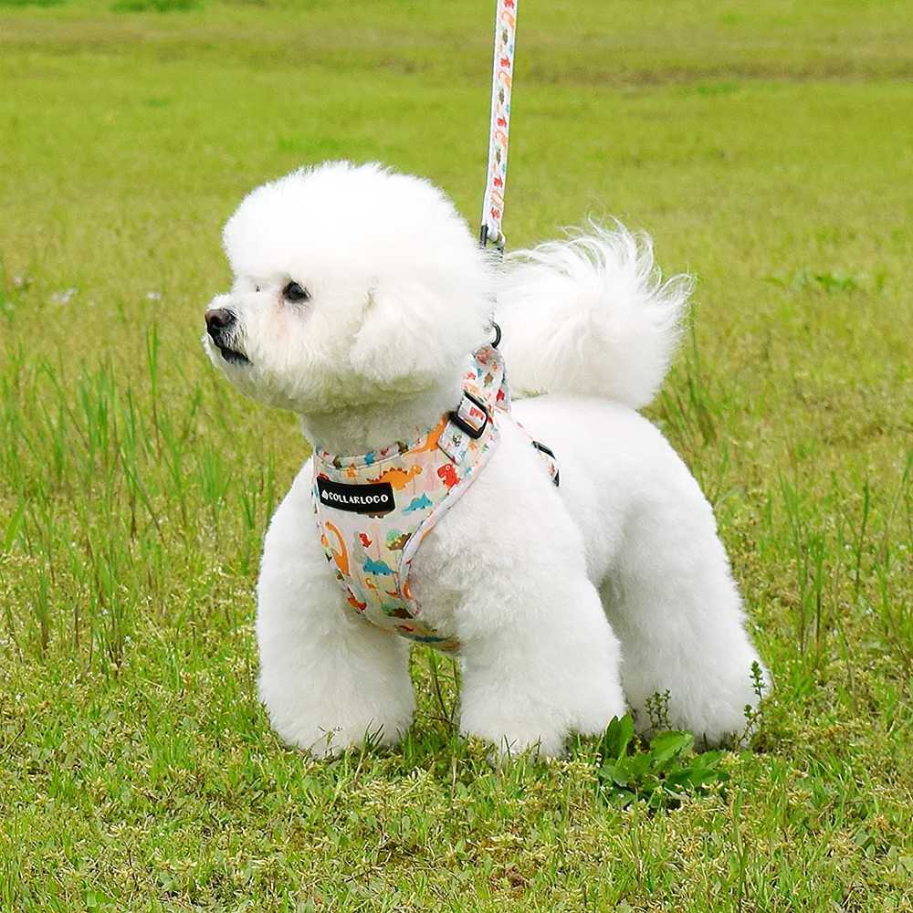 Adjustable Pet Dog Collar Durable Soft Cute Creative Colored Dinosaur Design Leash Neoprene Harness Poop Bag DispenserXJ241230