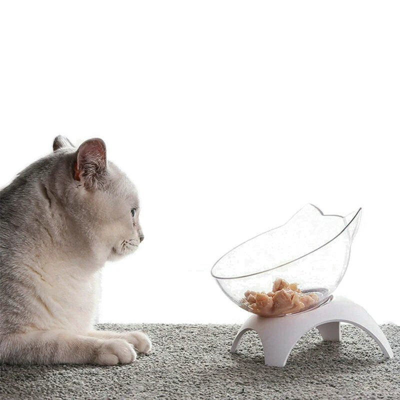 133556 Cat Raised Stand Feeding Transparent Plastic Pet Food Water Feeder Bowl 15 Degree Tilted Design Neck Guard for Cats Dogs