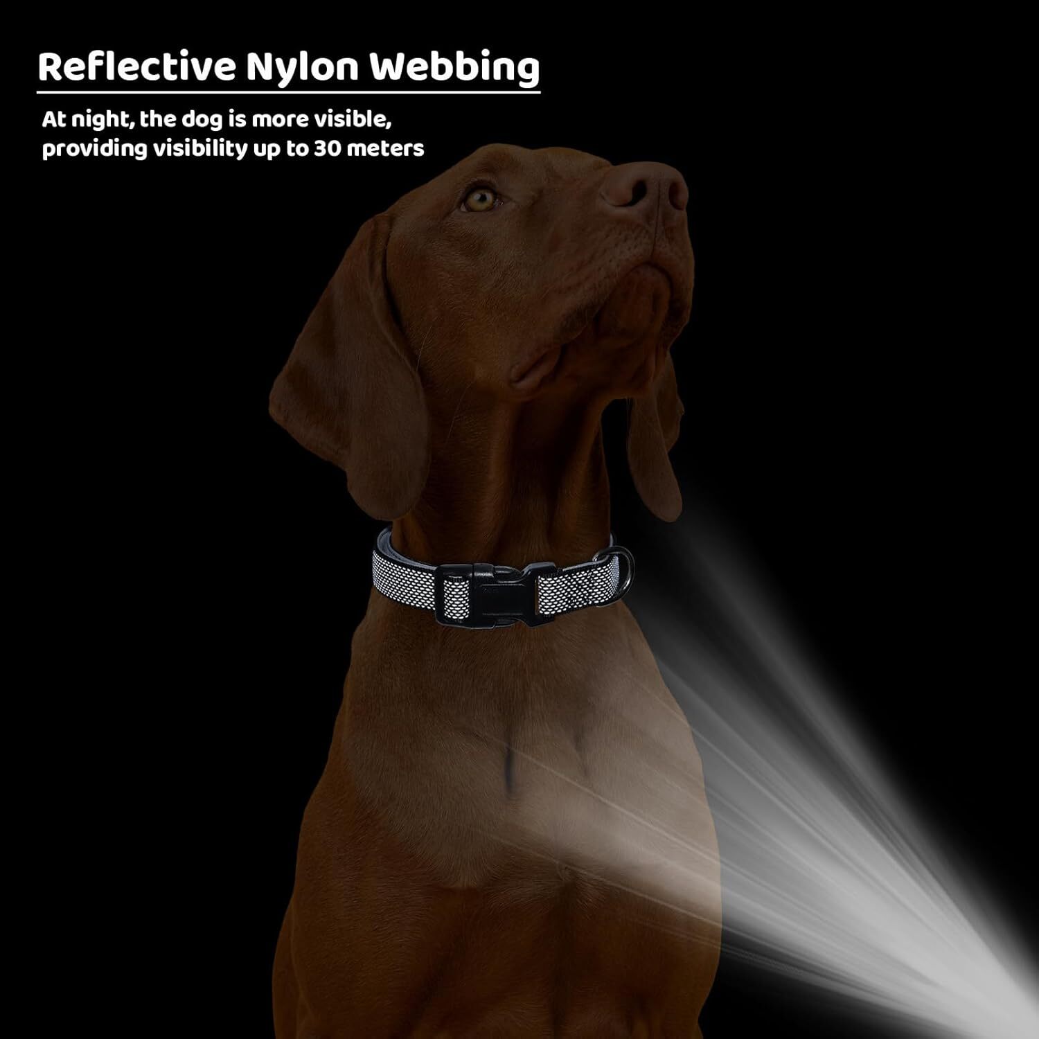 Reflective Dog Collar with Breathable Nylon Soft Neoprene Pad Collar, Suitable for Medium sized Dogs+2 AirTag Holders (Black, Medium)