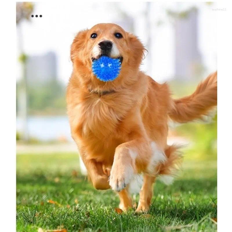 Update Bite-Proof Pet Chew Balls Small And Large Dog Toys Elastic Floats Squeaky Puppies Sheepdog Supplies