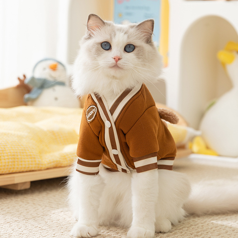 Two Leg Hoodies Autumn Clothes Blue Cat Kitten Puppy Thin Coat Pet Clothes HS53