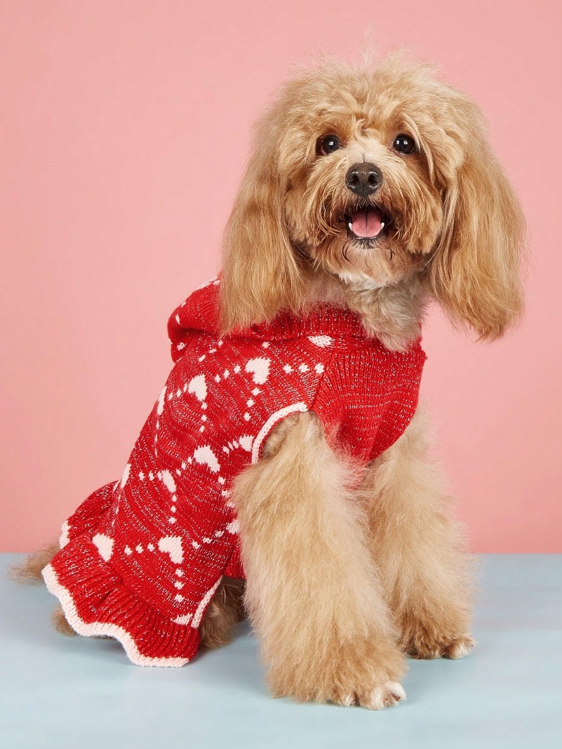 Puppy Hairball Autumn/Winter Dress Ins Style Korean Version Lovely Sweet Lolita Heart Plaid Hat-Wearing Lace Dog Skirt Hem