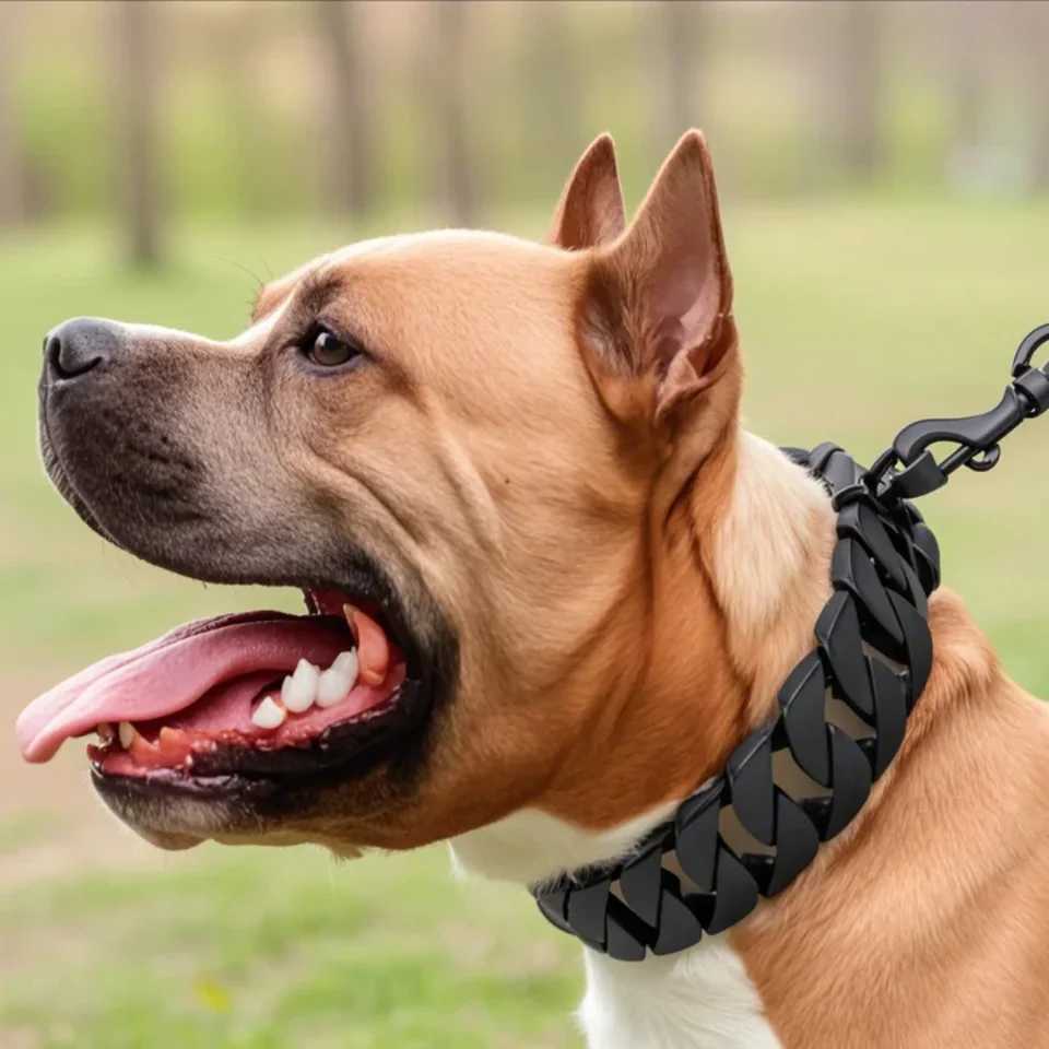 Golden Pitbull Dog Collar - Heavy Duty Stainless Steel Chain for Large Dogs - Safe and Secure DesignXJ241230