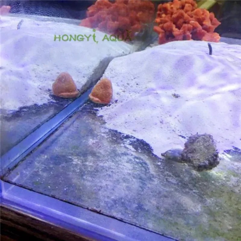 Newly carbon fiber BUBBLE-MAGUS BM aquarium brush fish tank cleaning tool extended blade algae removal tool 30-60cm