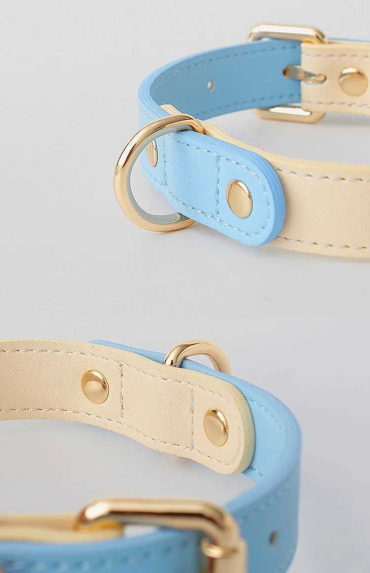 2025 new Leather for cat and dogs color blocking design leather dog collar with leash set waterproof outdoor pet rope