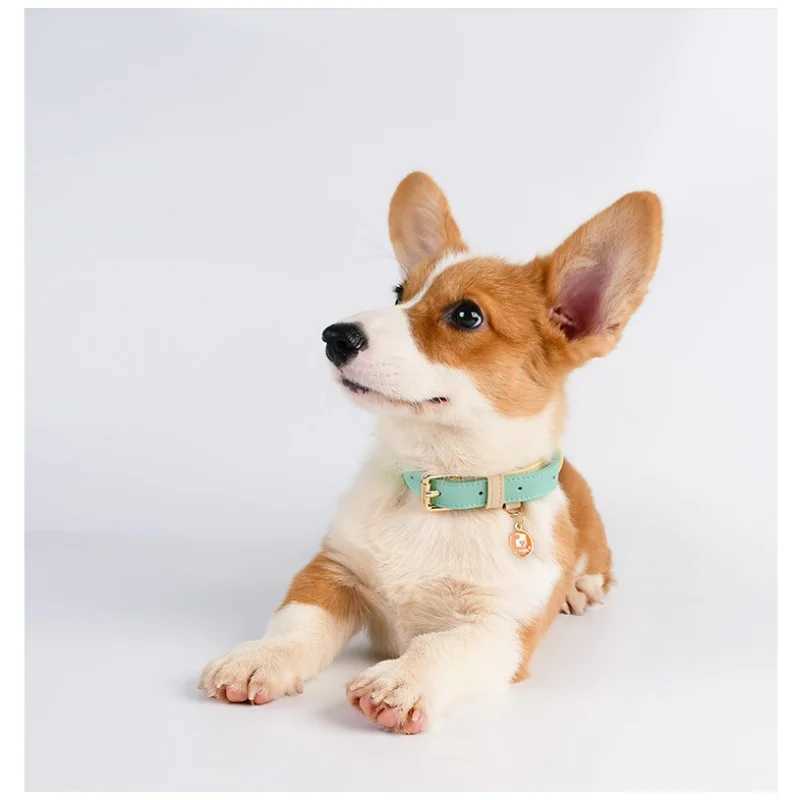 2025 new Leather for cat and dogs color blocking design leather dog collar with leash set waterproof outdoor pet rope