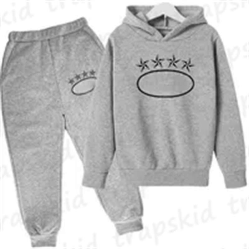 Designer Fashion Boys Girls Hoodie Set Autumn Children Pullover Hoodies Set Tracksuit Hoodie Suits Set Fashion Kids Pants 2pcs Set AYG2412312