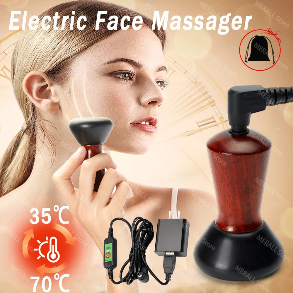 Electric Volcanic Stone Massage Gua Sha Natural Bian Stone Back Neck Face Massager Spa Care Skin Remove Wrinkles 241230