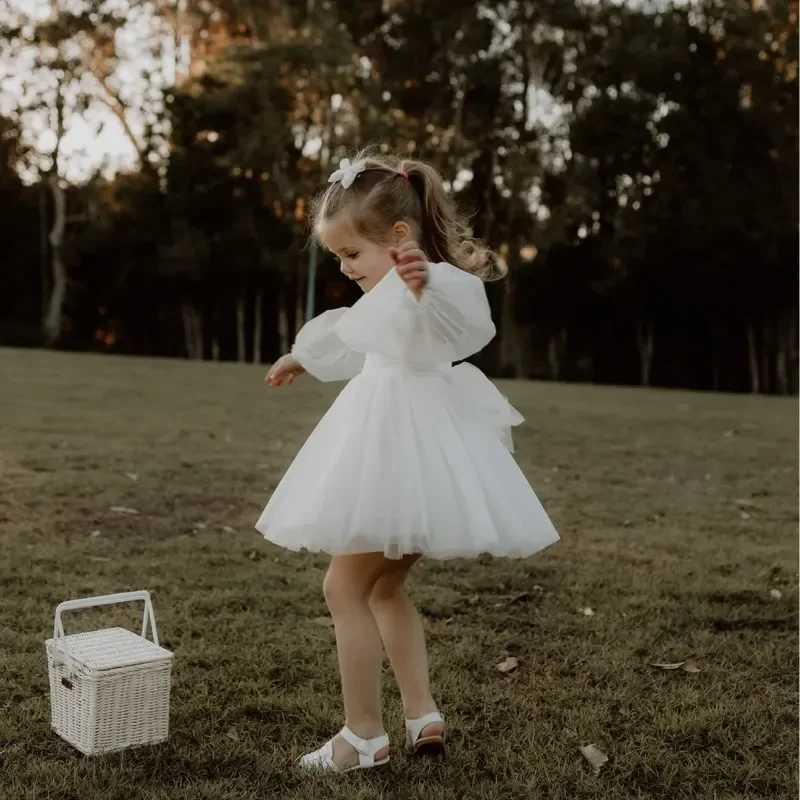 2025 Baby Girl Princess Mesh Tutu Dress White Baby Toddler Chiffon Vestido Wedding Dress Par Clothing 2-6y W241231