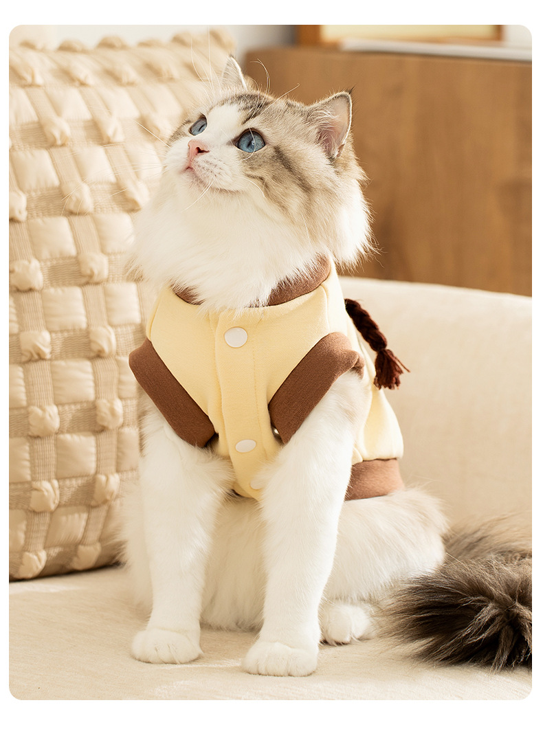 Autumn and winter new cartoon traction two fEEt hoodie dog clothes cat warm clothing pet clothing HS51