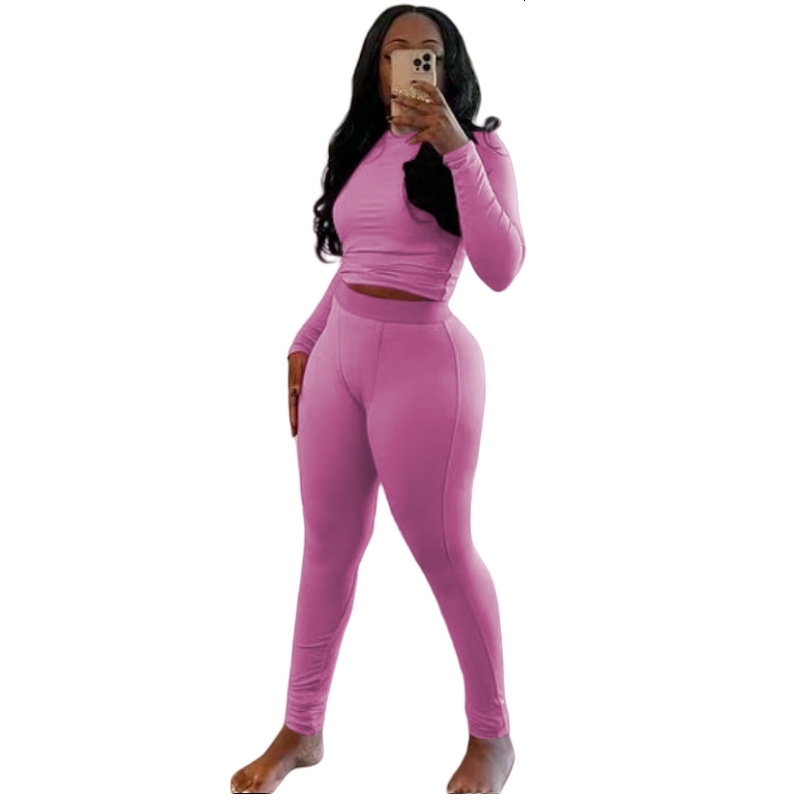 Women Tracksuits Two Pieces Set 2025 New Fashion Sport Set Pit Strip Elastic Yoga Sport Womens Set 11 Colours