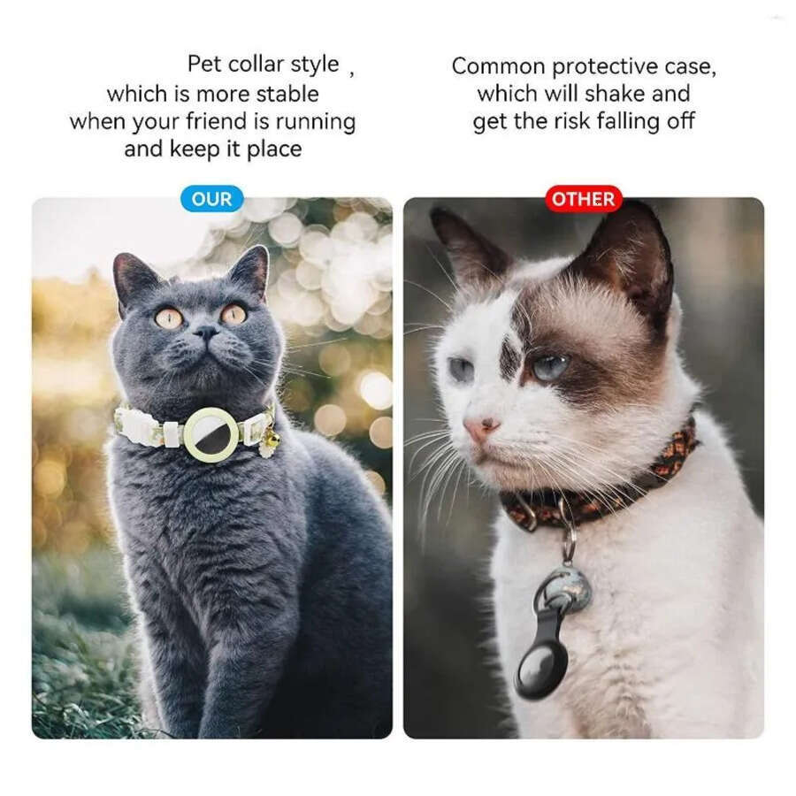 Collars Dog For Air Tag Cat Collar Kitten Breakaway With Silicone Holder Girl Boy Cats Green S