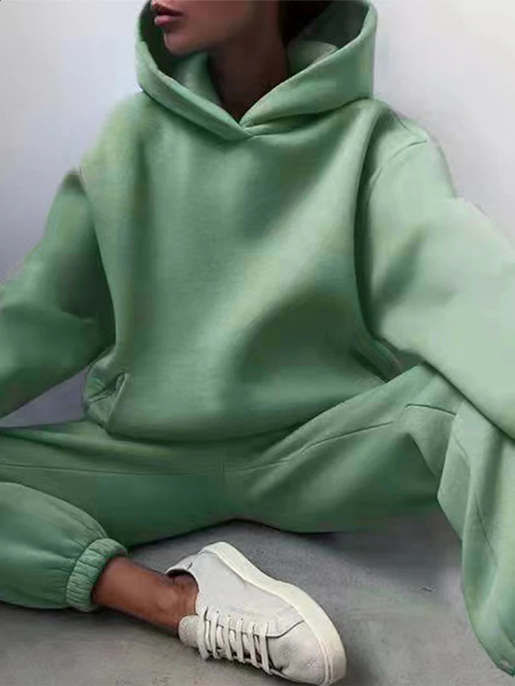 Solid Color Thick Hooded Hoodie Set Womens Elastic Long Pants Two-piece Set Large Pocket Warm Loose Casual Autumn Winter 241230