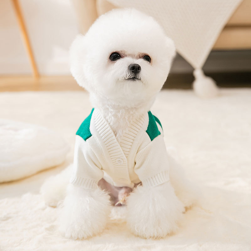Cool autumn and winter fashion contrasting color two feet hoodie cat clothes kitten dog pet clothes HS54