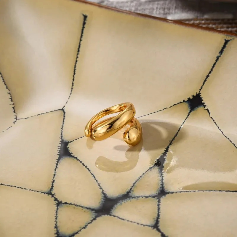 Fashion Womens Piercless Ear Clip Earring Jewelry Accessories Earcuff Earrings For Women Gifts 241225