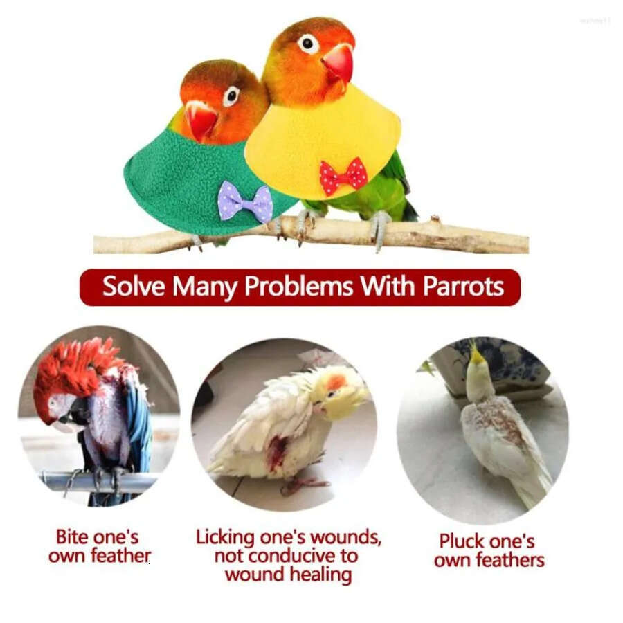 Bird Other Supplies Cute Parrot Collar Recovery Anti Biting Pecking Injury Elizabeth Protective For Birds Cloak Pets Warm Clothes S