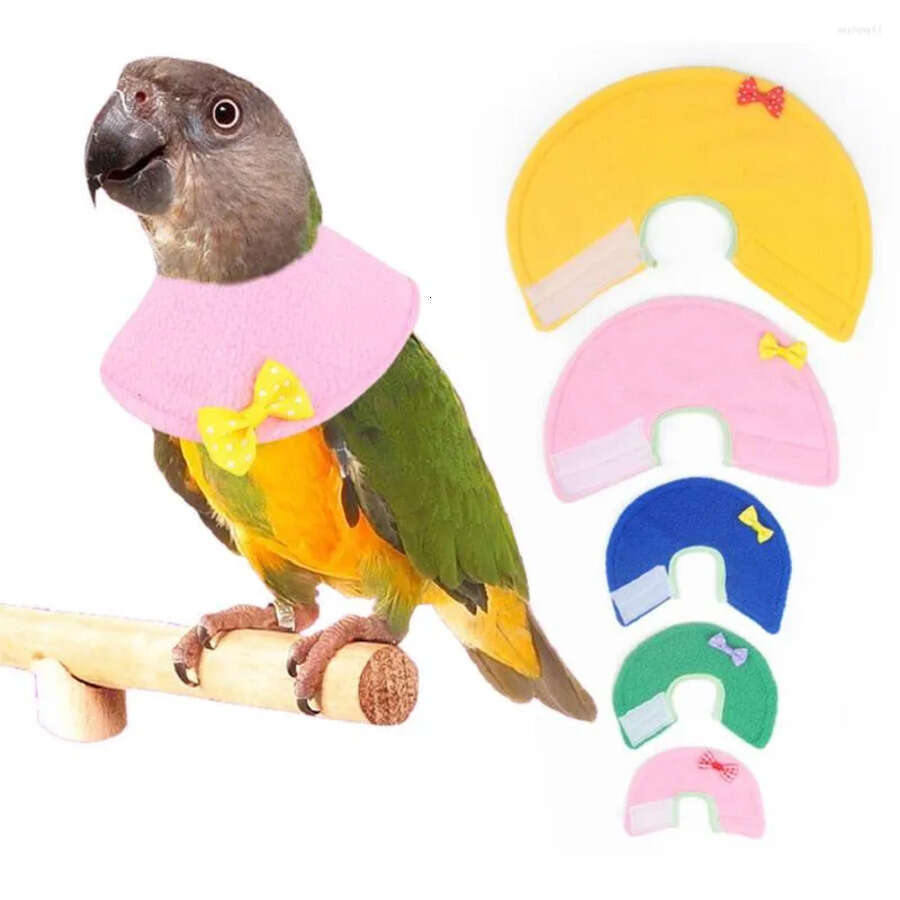 Bird Other Supplies Cute Parrot Collar Recovery Anti Biting Pecking Injury Elizabeth Protective For Birds Cloak Pets Warm Clothes S