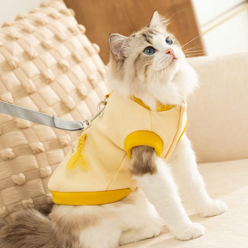 Autumn and winter new cartoon traction two fEEt hoodie dog clothes cat warm clothing pet clothing HS51