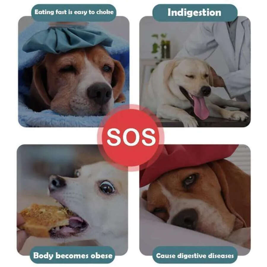 Anti Feeder Irrigation Healthy Diet Interactive Alternative Non Slip Dog Food Pet Bowl Slow