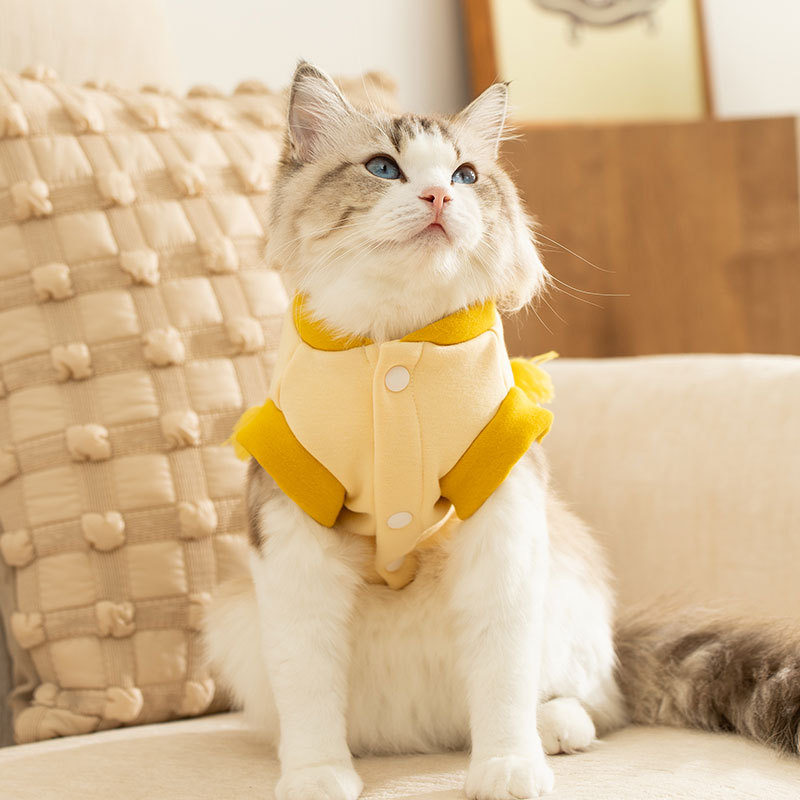 Autumn and winter new cartoon traction two fEEt hoodie dog clothes cat warm clothing pet clothing HS51