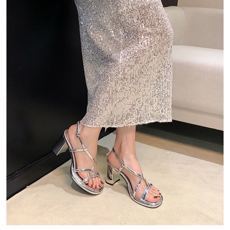 Silver Open Toe French Beautiful Versatile Block Heel High Heel Sandals Women's New Summer 2024 Shoes with Skirt 5cm