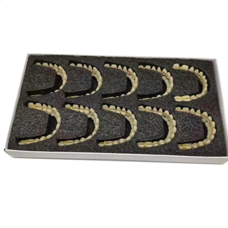 28pcs Resin False Teeth Dentures Temporary Fake Tooth Upper Lower Removable Dental Veneers 240701