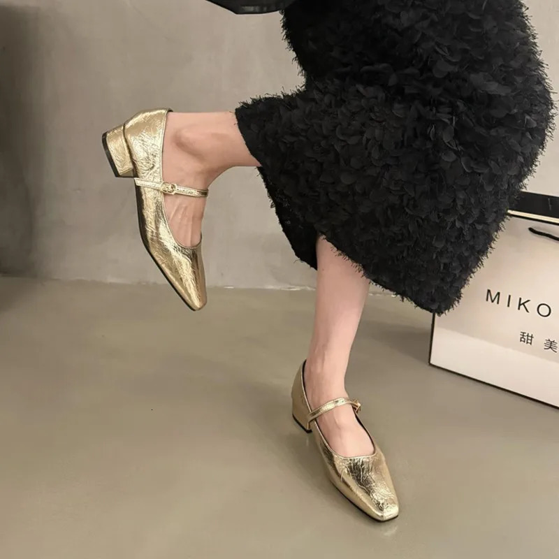 Womens Ballet Flats Pointed Toe Mary Janes Shoes Silver Low Heels Dress Shoes Woman Flats Black Gold Zapatos Mujer Spring 1790N 240705