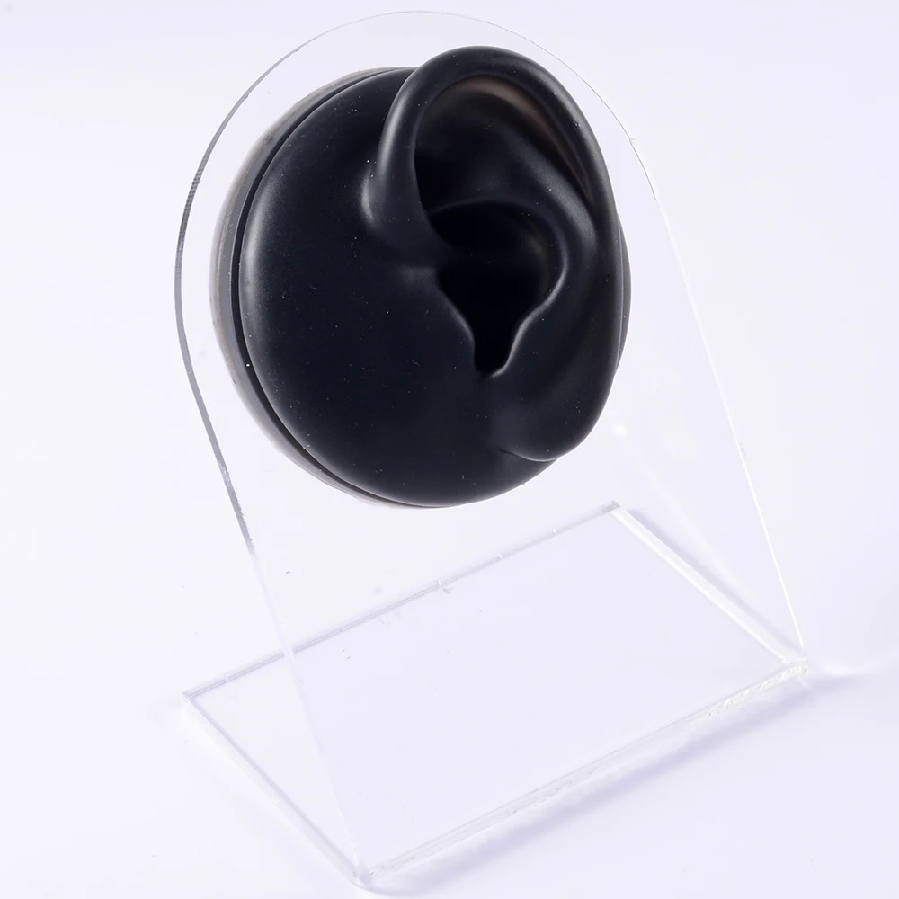 A practical display of silicone ear models for tattoo perforation jewelry tools body perforation simulation models sold on acrylic brackets 240705