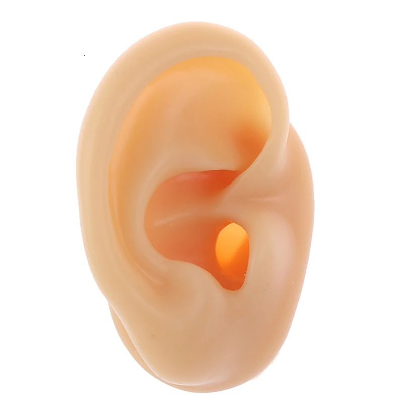 Soft silicone ear model tattoo jewelry practice perforation tool earring display model body teaching props can be reused 240705