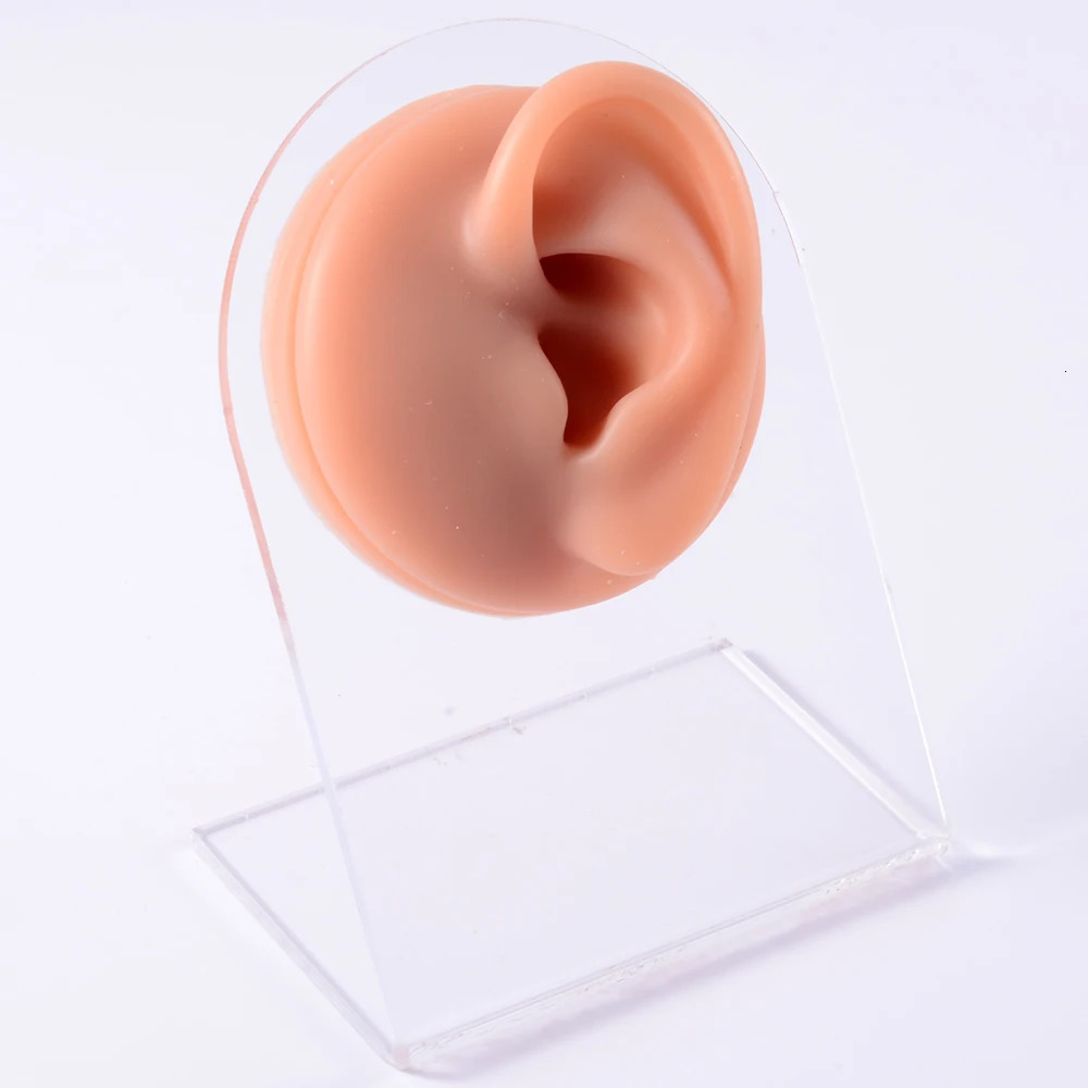 A practical display of silicone ear models for tattoo perforation jewelry tools body perforation simulation models sold on acrylic brackets 240705
