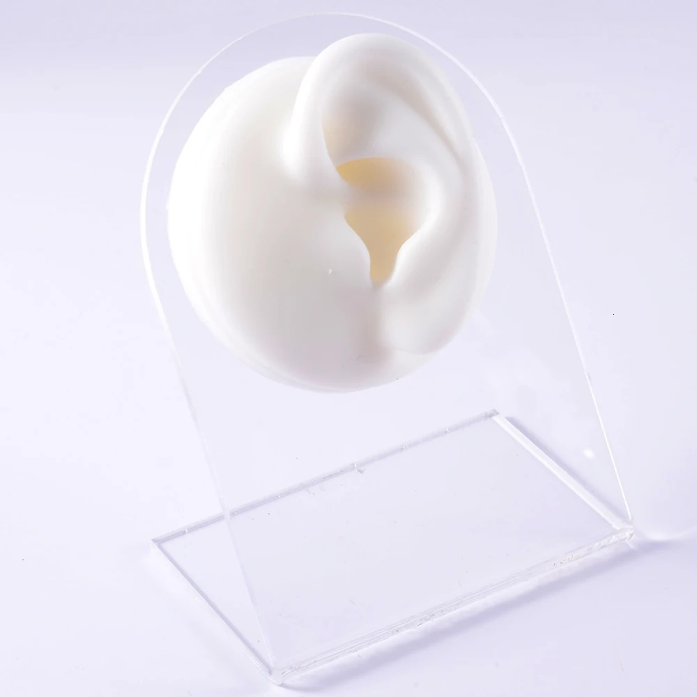 A practical display of silicone ear models for tattoo perforation jewelry tools body perforation simulation models sold on acrylic brackets 240705